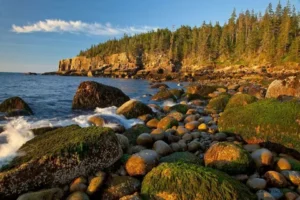 acadia-national-park