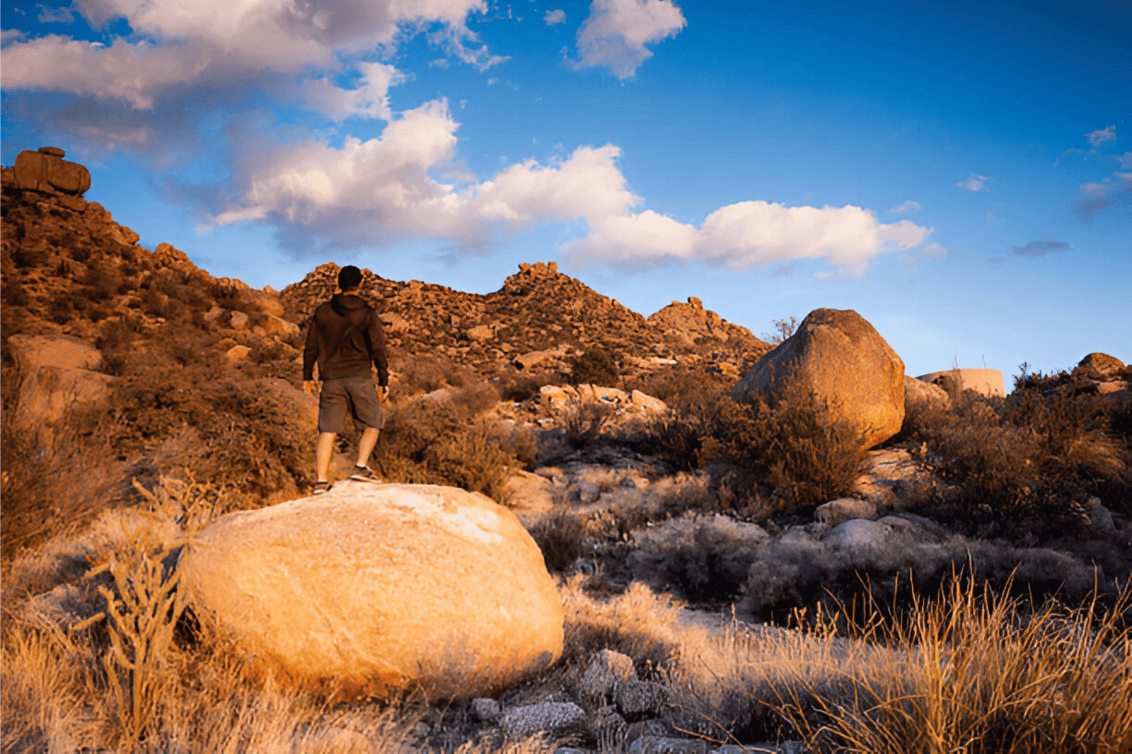 Joshua Tree National Park