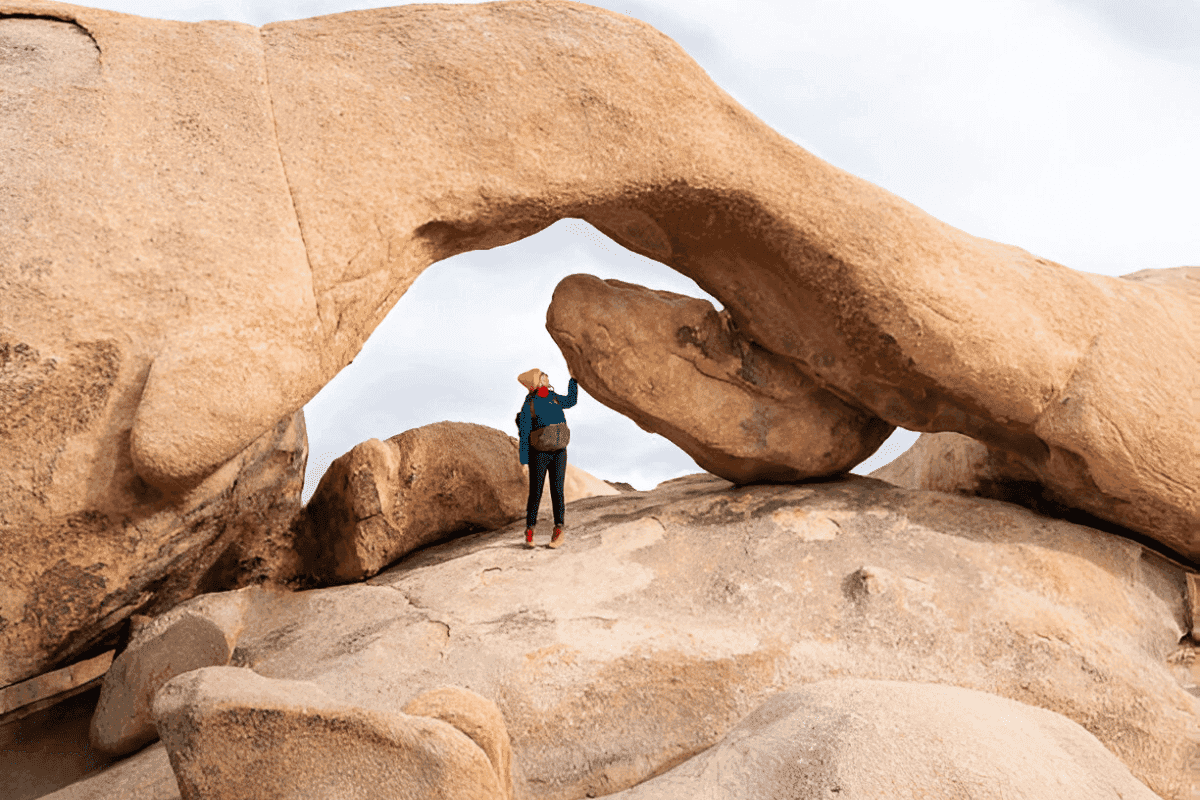 things to do in joshua tree