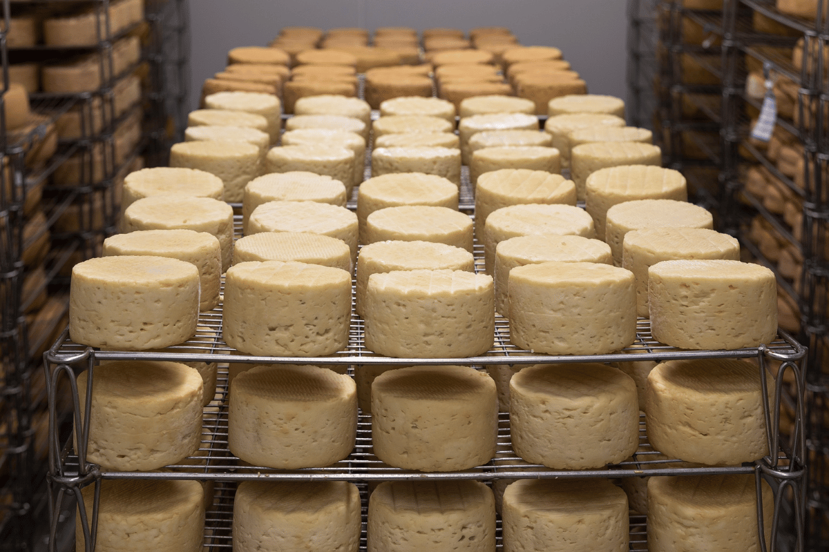 where to find pag cheese in usa​