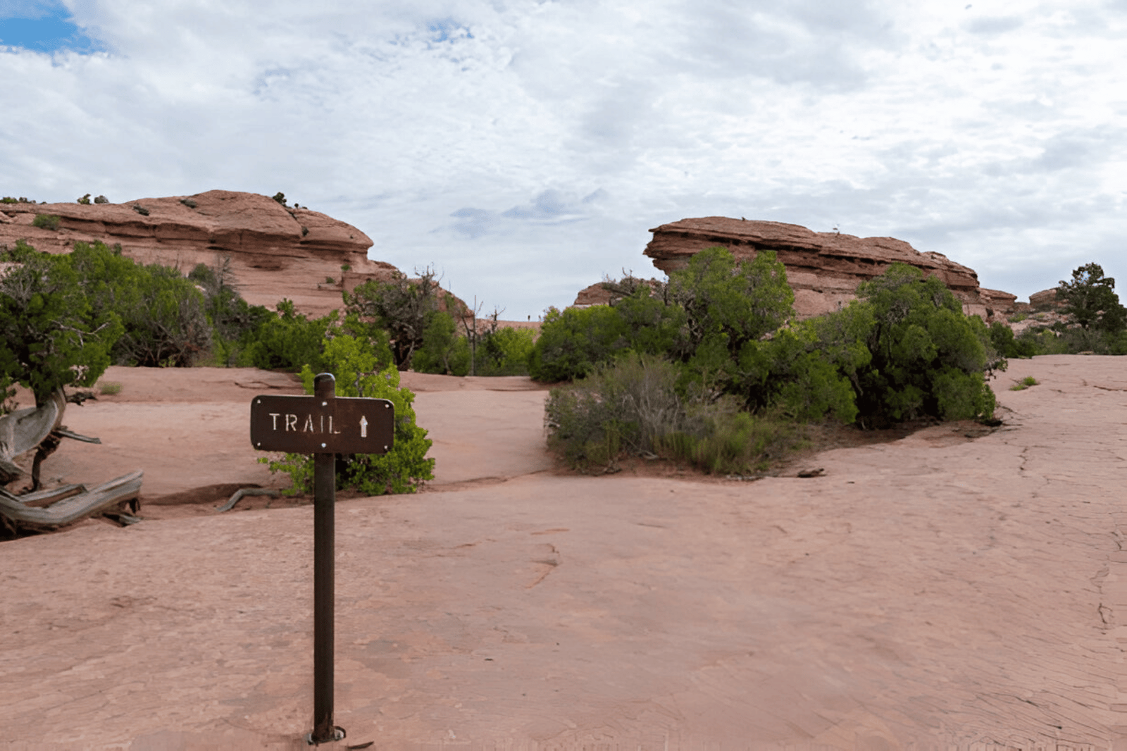 Exploring Cave Springs Cowboy Camp | A Family-Friendly Adventure in Canyonlands National Park