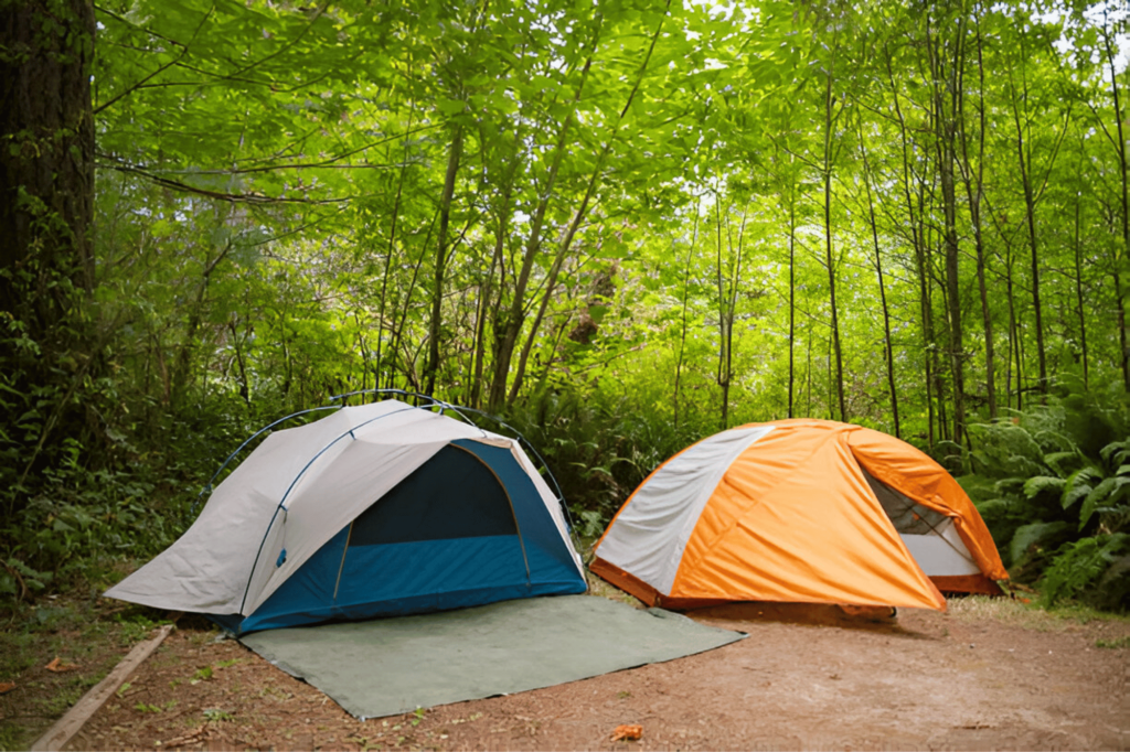 Places to Camp in Northern California