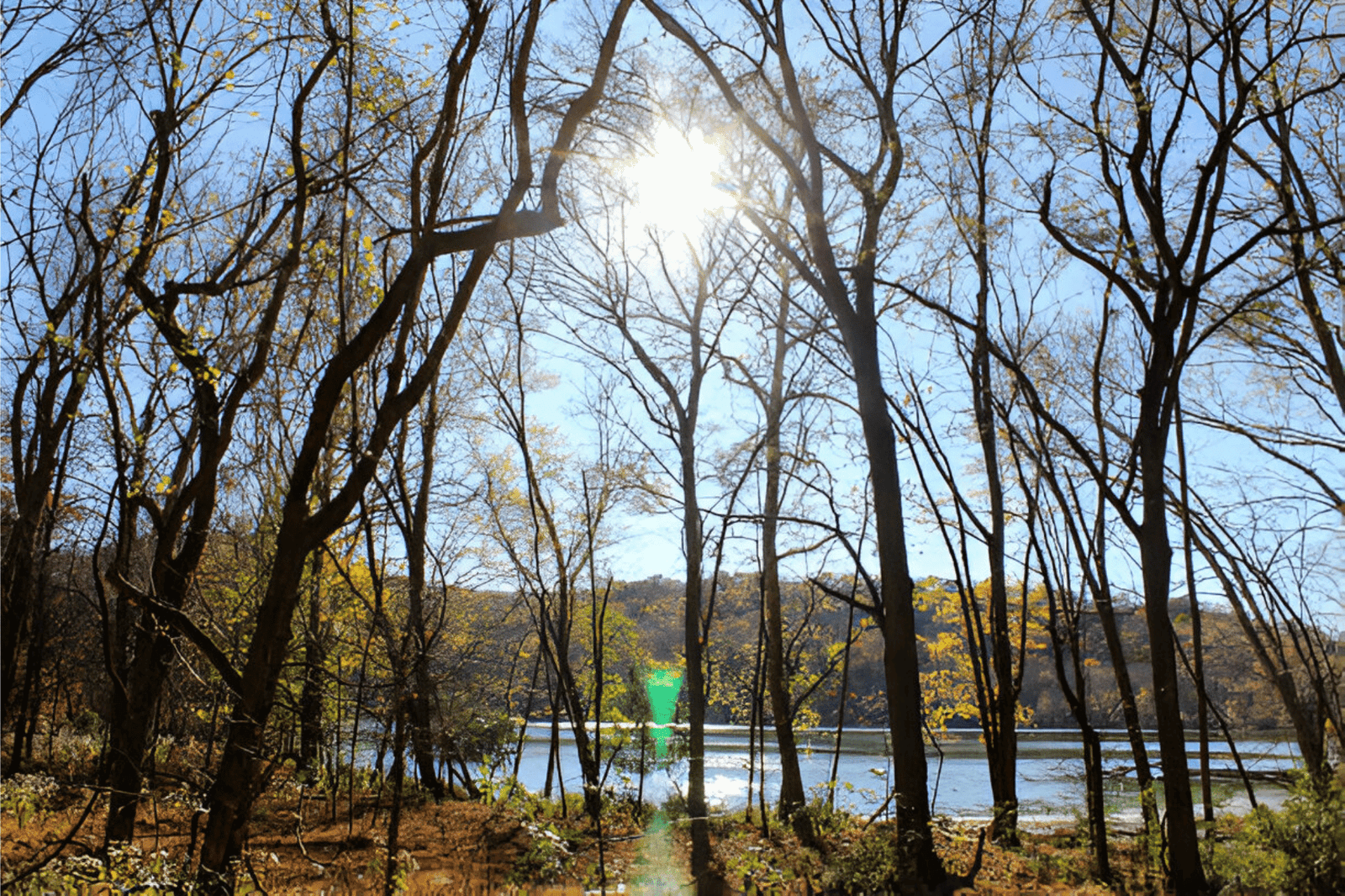 Beach in Tennessee USA_Radnor Lake State Park