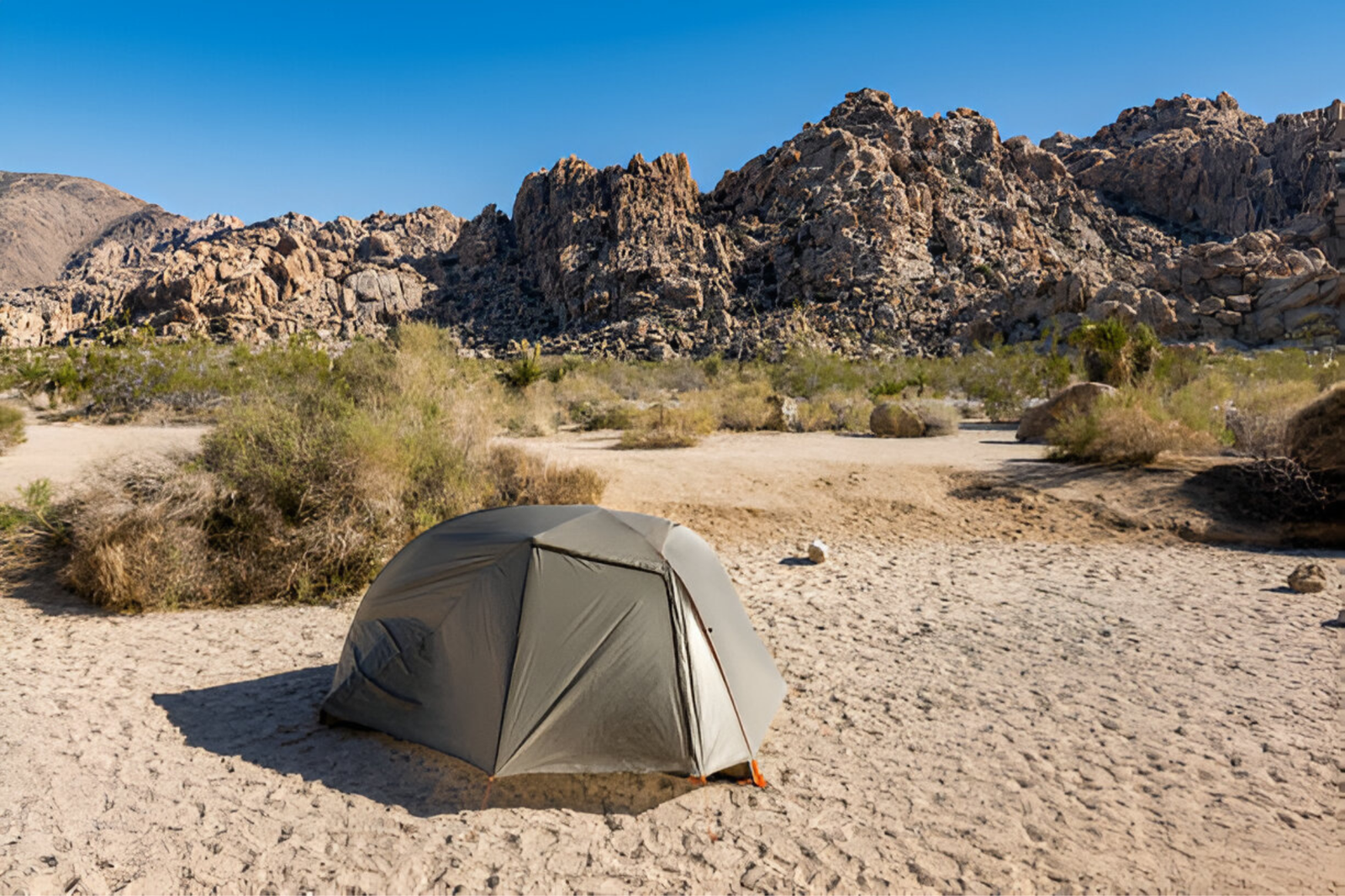 Tamarisk Grove Campground